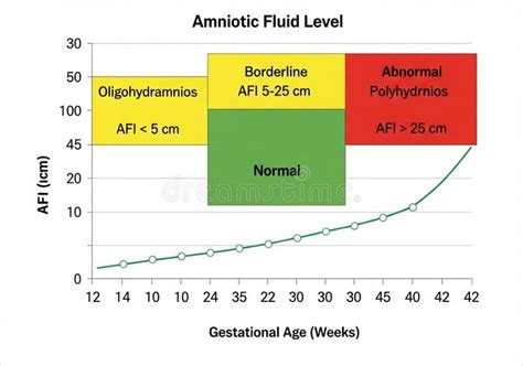 schema grafico del calcolo dell'Amniotic Fluid Index (AFI)