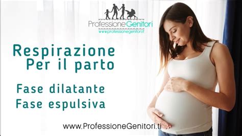 illustrazione schematica della pressione fundica sull'utero durante la fase espulsiva