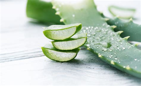 pianta di aloe vera e applicazione del gel cutaneo