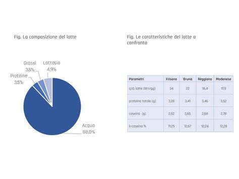 schema dell'impatto dell'alimentazione materna sulla composizione del latte
