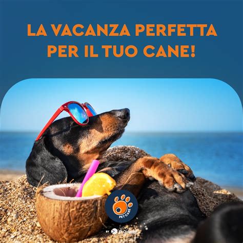 Infografica con ingredienti sicuri e non sicuri per cani