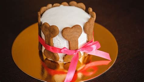 Torta di compleanno per cani a base di carne