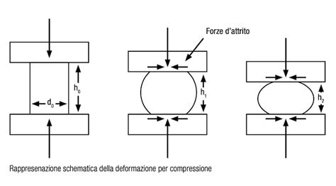Diagramma comparativo delle altezze e della compressione tra molle a 3, 4 e 5 spire