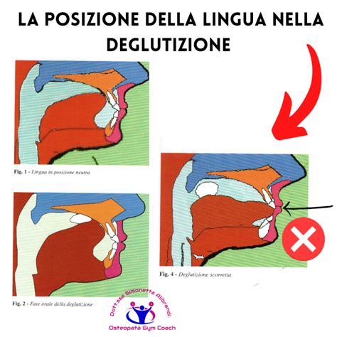 Sviluppo della deglutizione infantile