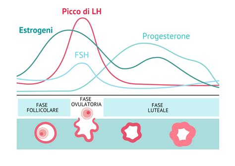 grafico che mostra la curva di ascesa del progesterone in relazione al picco di LH e al momento dell'ovulazione