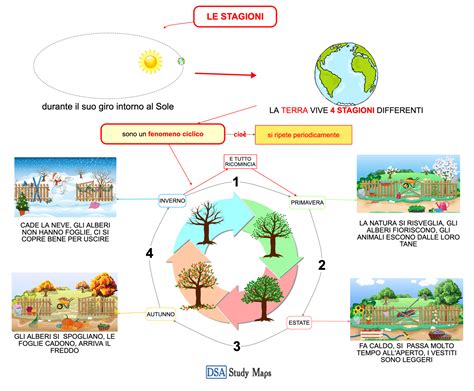 rappresentazione stilizzata dell'albero della vita e del ciclo delle stagioni