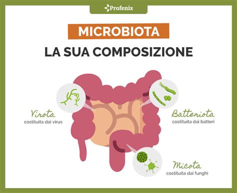 Composizione del microbiota dell'apparato riproduttivo (grafico)