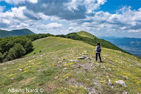 paesaggio rurale dell'Appennino Lucano