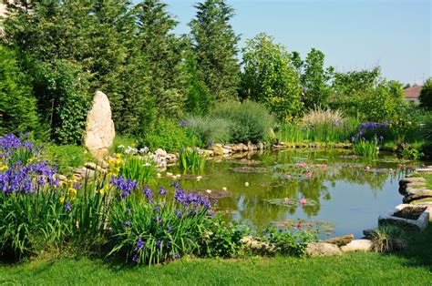 Giardino rigoglioso con ortaggi e piante ornamentali in salute