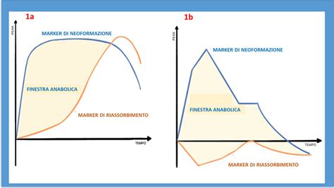 rappresentazione schematica dei tempi legali per l'interruzione di gravidanza