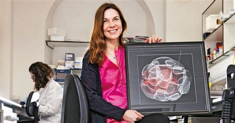 Ricerca su embrioni sintetici