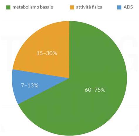 grafico che illustra il fabbisogno energetico extra in kcal/die nei primi mesi di allattamento