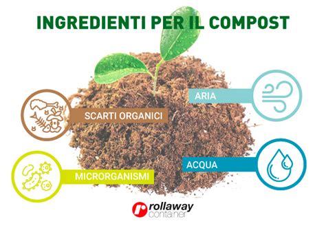 Tè di compost in azione su una coltura