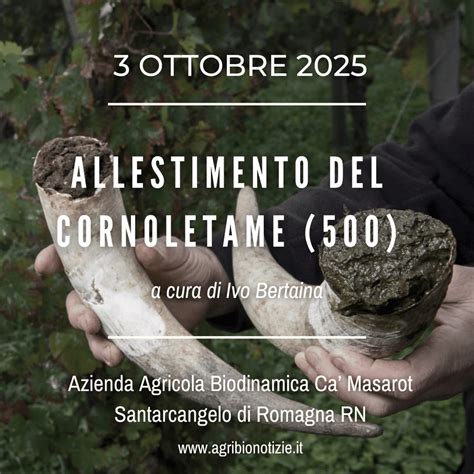 immagine illustrativa della preparazione del cornoletame 500
