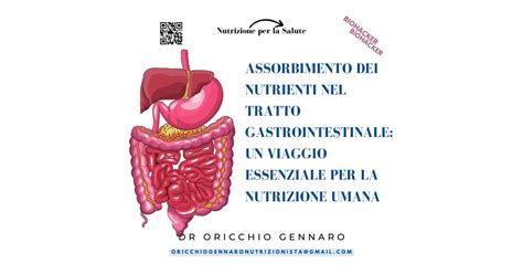 Schema del sistema suolo-pianta-acqua e dinamiche di assorbimento dei nutrienti