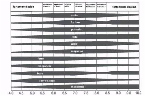 Grafico dell'assorbimento dei nutrienti in funzione del pH della soluzione radicale