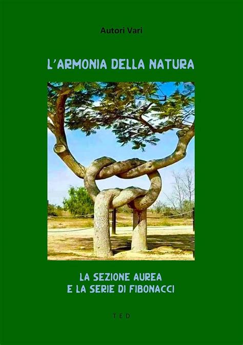 rappresentazione stilizzata dell'energia lunare e femminile in armonia con la natura