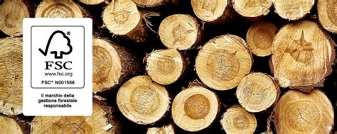 foto di dettaglio dei materiali in legno certificato FSC utilizzati per i giochi della serie Fisher-Price Wood