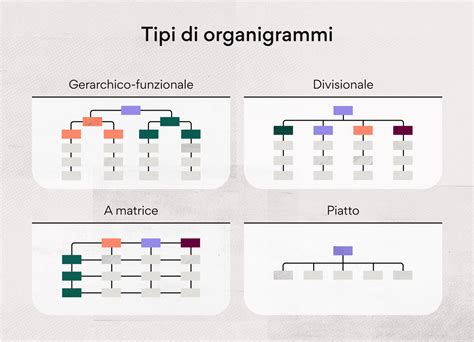 Schema organizzativo di un'equipe ostetrica multidisciplinare in un reparto moderno