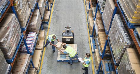 logistica e movimentazione in vendemmia