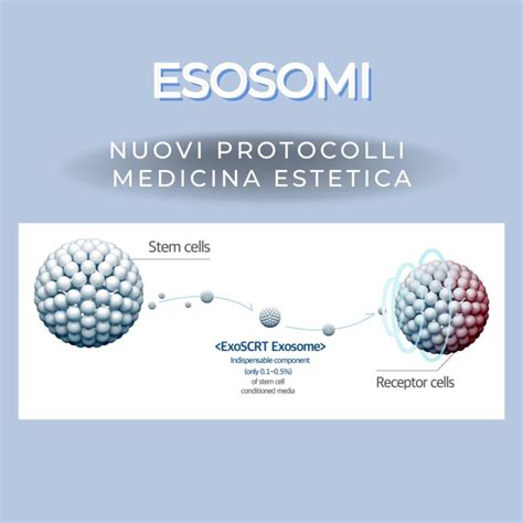 Microscopio elettronico che mostra esosomi rilasciati da una cellula