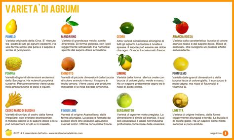 Varietà di agrumi biologici italiani