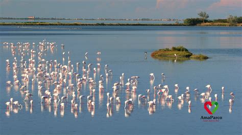 Le distese del Parco del Delta del Po: uno spettacolo naturale unico