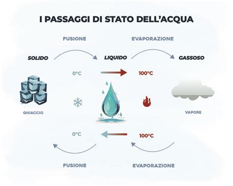 infografica sui passaggi corretti per eseguire il test Clearblue