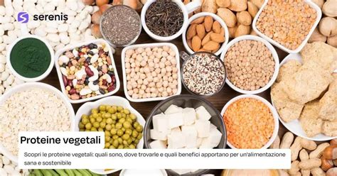 Vari tipi di proteine vegetali utilizzate nei sostituti del pasto