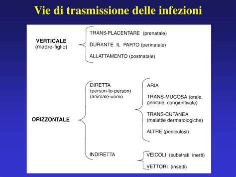 schema informativo sulle vie di trasmissione delle IST