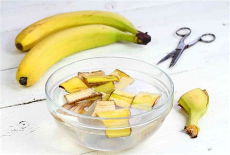 Preparazione fertilizzante con bucce di banana