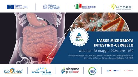 infografica che mostra l'asse microbiota-intestino-cervello