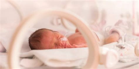 TIN neonatale