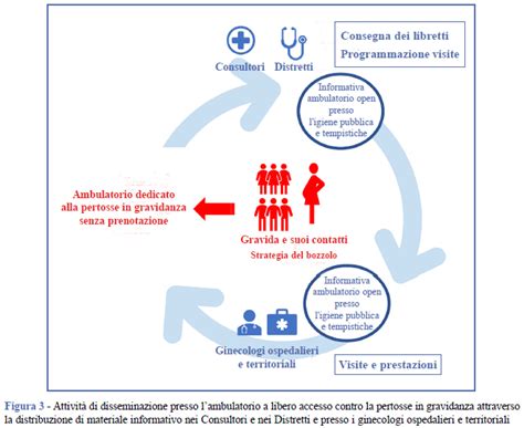 rappresentazione grafica dei picchi di incidenza della pertosse negli ultimi anni