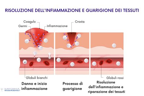 Corioamnionite: Infezione e Infiammazione