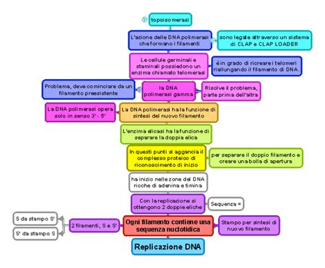 rappresentazione concettuale del legame tra biologia, etica e tecnologia procreativa