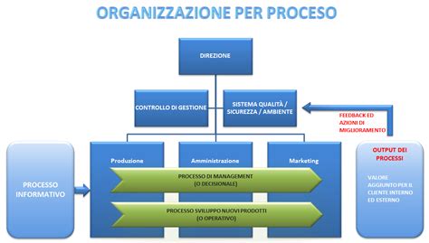 rappresentazione schematica dei processi infiammatori e interazione farmacologica