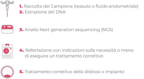 infografica sulle fasi del test di ricettività endometriale