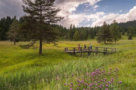 Un'immagine che contrappone una torbiera con un cumulo di compost maturo