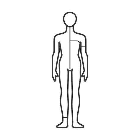 Illustrazione di un corpo stilizzato con un segno di divieto sull'area dello stomaco
