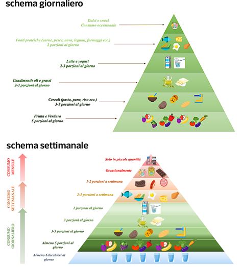 schema grafico sulla transizione alimentare dopo il primo anno di vita