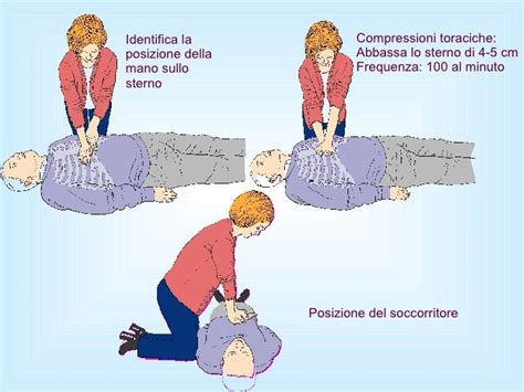 infografica che mostra la corretta posizione delle mani per il massaggio cardiaco