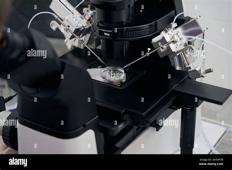 Microscopio per ICSI con micromanipolatore