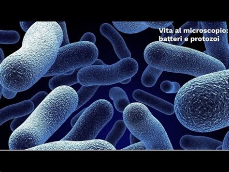 Microscopio che mostra batteri su una superficie non sterilizzata