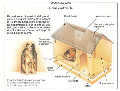 Illustrazione di come misurare un cane per la cuccia