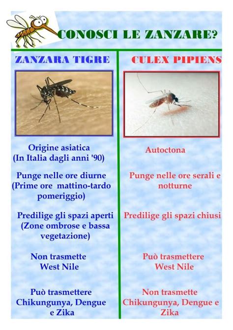 Zanzara tigre e metodi di prevenzione