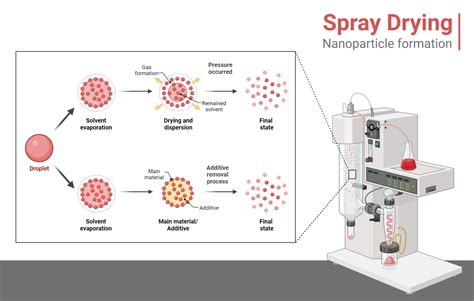 confronto roller-dry e spray-dry
