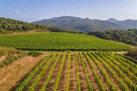 Vigneto con terreni rossi ricchi di minerali