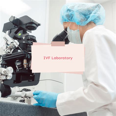 Incubatore di embrioni in laboratorio FIV