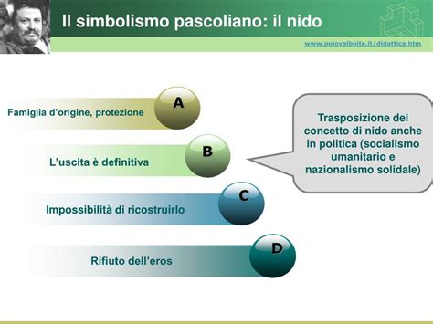 infografica che illustra il dualismo cielo-terra e il simbolismo del nido in Pascoli